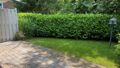 Terrasse_Garten