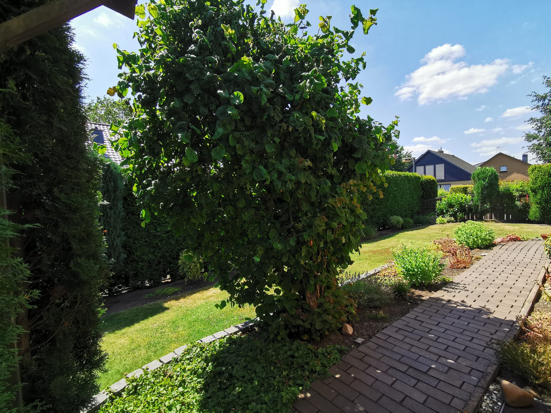 Garten links