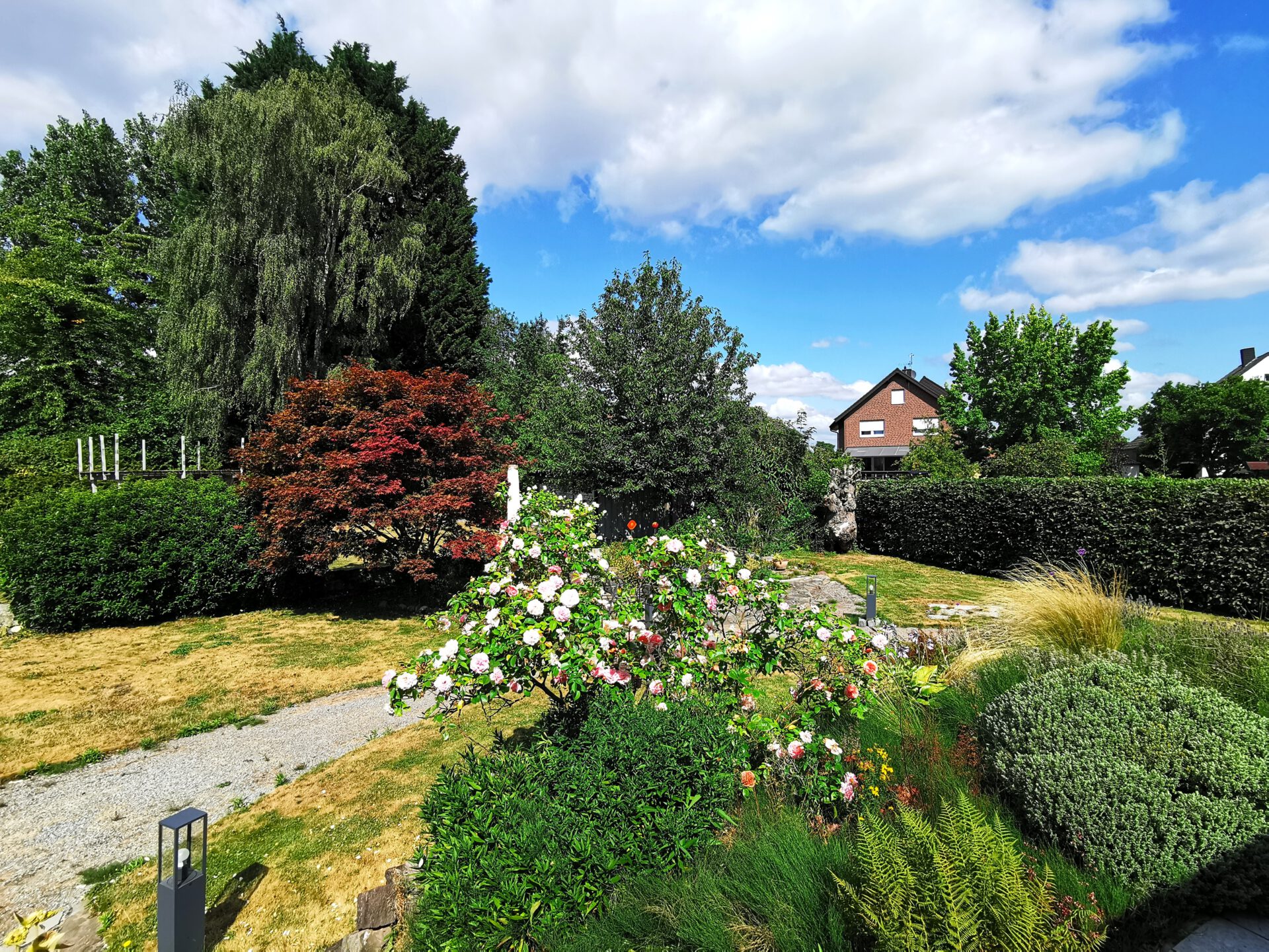 Garten1